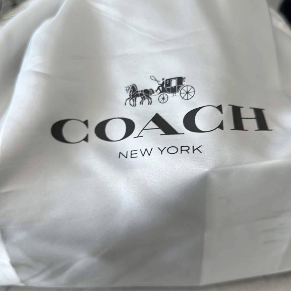 Brand new, authentic, dust bag included, beautiful handbag. Never carried.